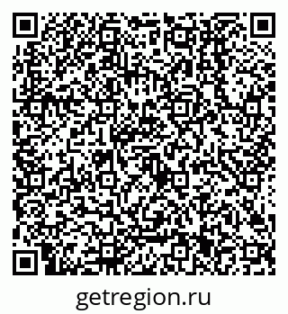 79638501381