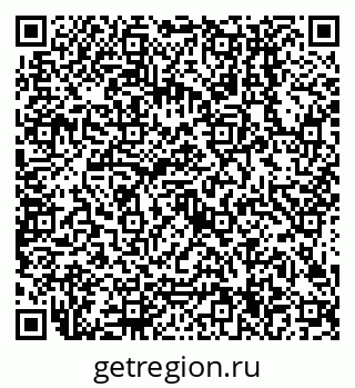 79638504131