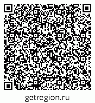 79638504461