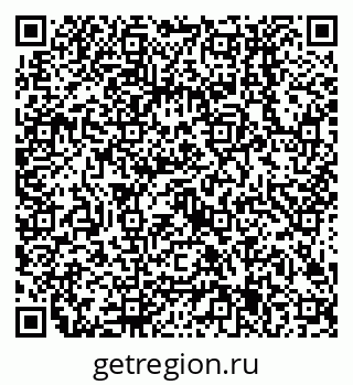 79638505355