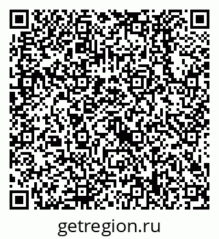 79638528355