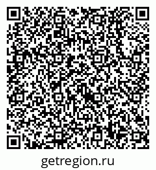79638528558