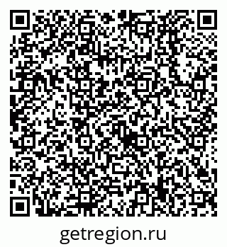 79638529355