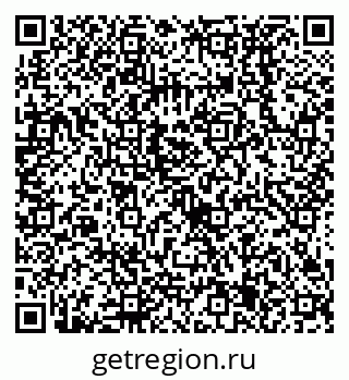 79638535304