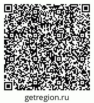 79638544081