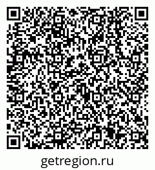 79638545358