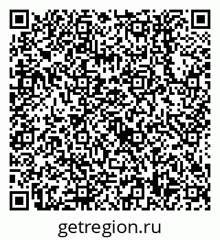 79638558538