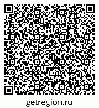 79638560831