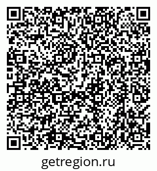 79638565541