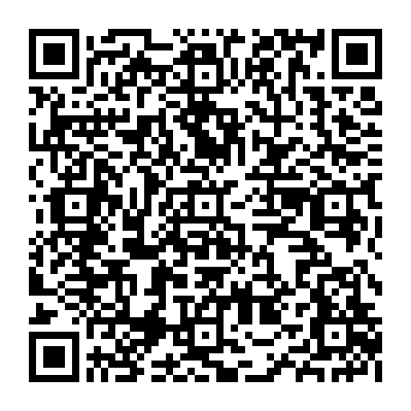 79638851204