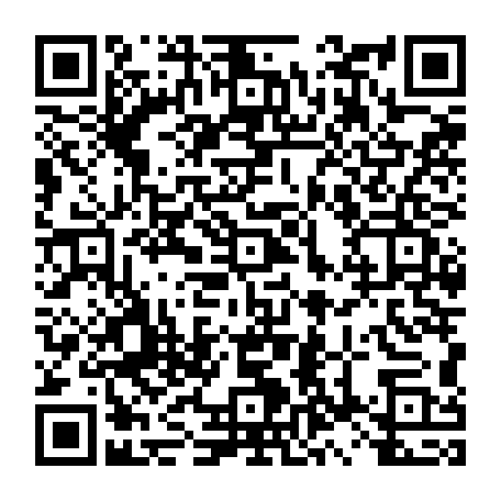 79638851206