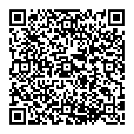 79638851293