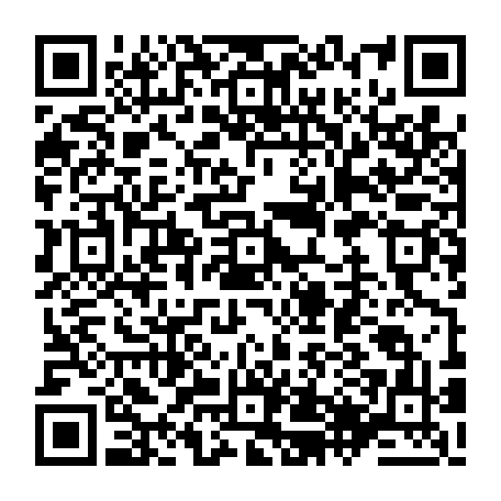 79638851333