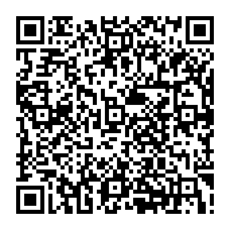 79638851481