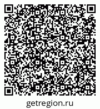79638858004
