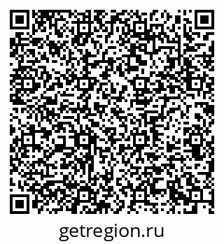 79639300558