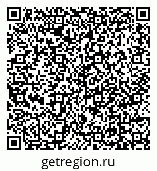 79639557355