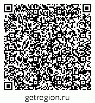 79639565206