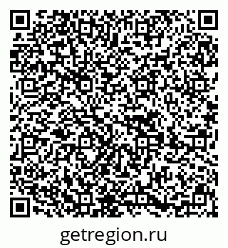 79639600558