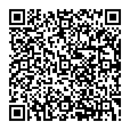 79643500317