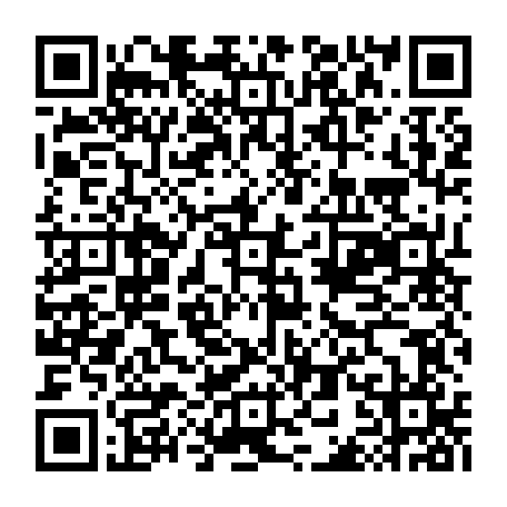 79643600338