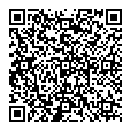 79643600906