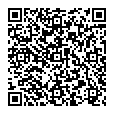 79654550036
