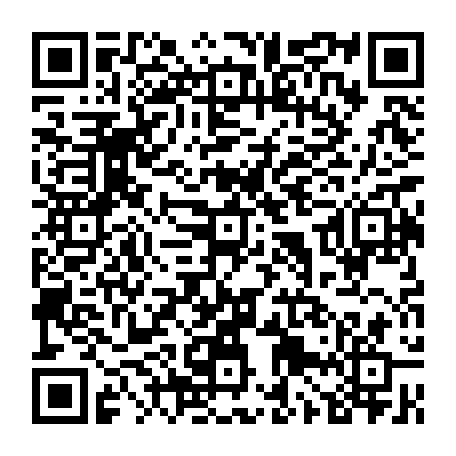 79655500128