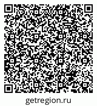 79655500205