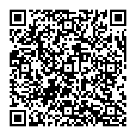 79655500216