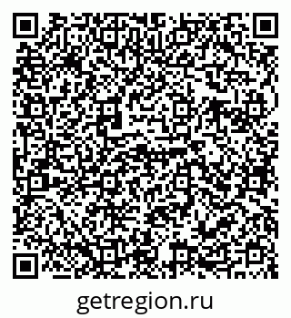 79655500381