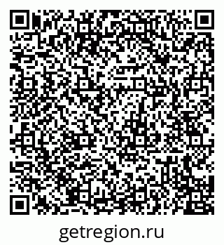 79655501384
