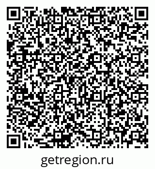 79655502079