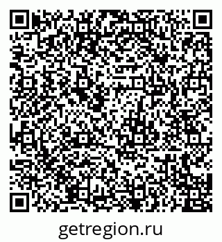 79655504021