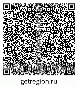 79655504078