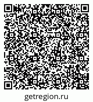 79655504166