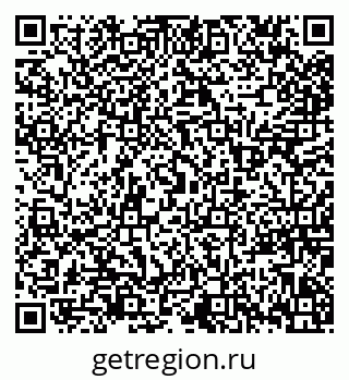 79655504202