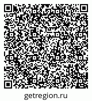 79655504204
