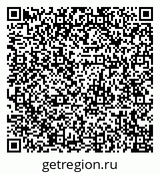 79655504291