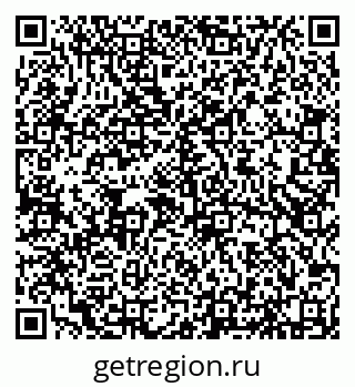 79656775204