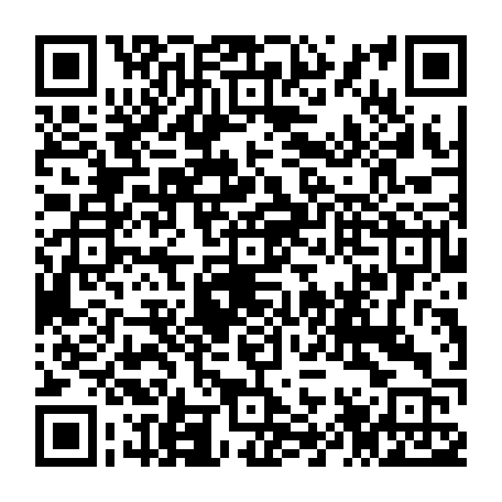 79656800065