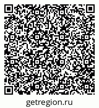 79656801504