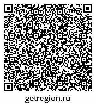 79656804491