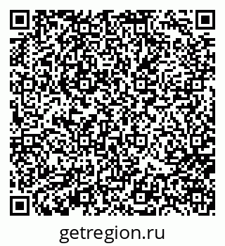 79656804559