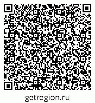 79656900558