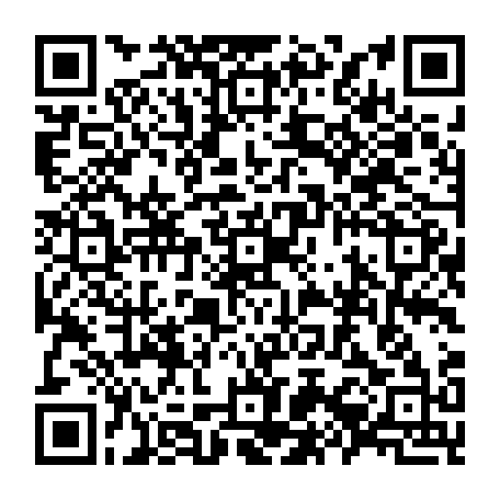 79657003295