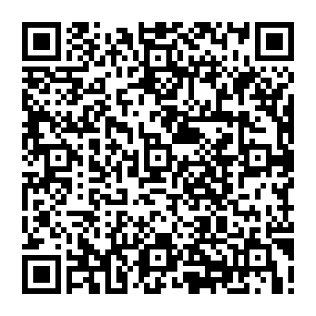 79657003954