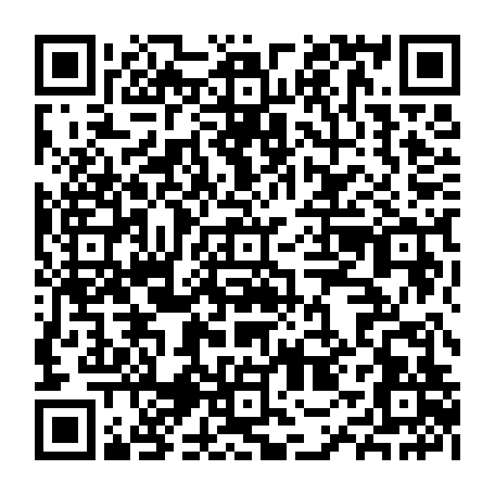 79657004004