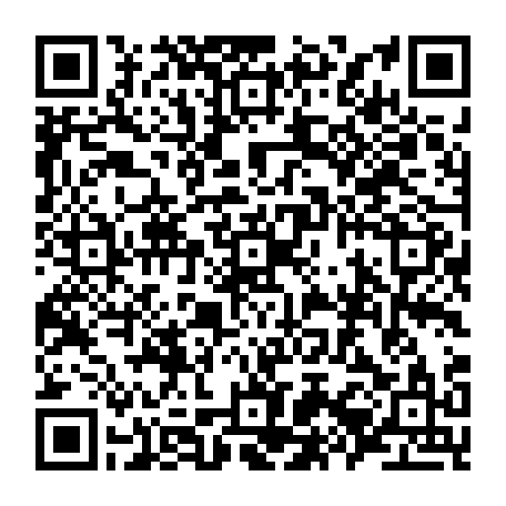 79657004804