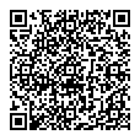 79657004913